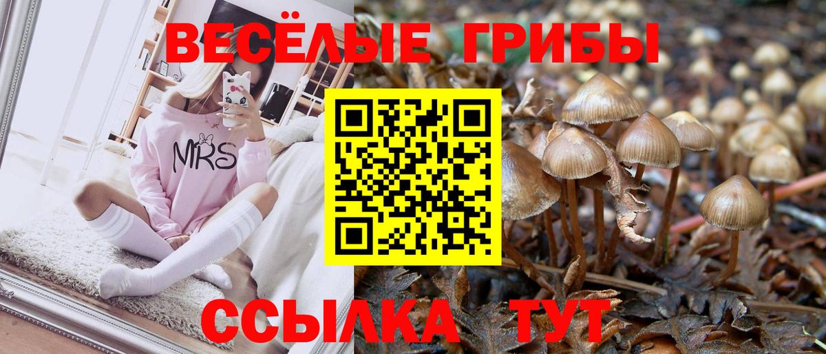Галлюциногенные грибы прущие грибы Ивантеевка