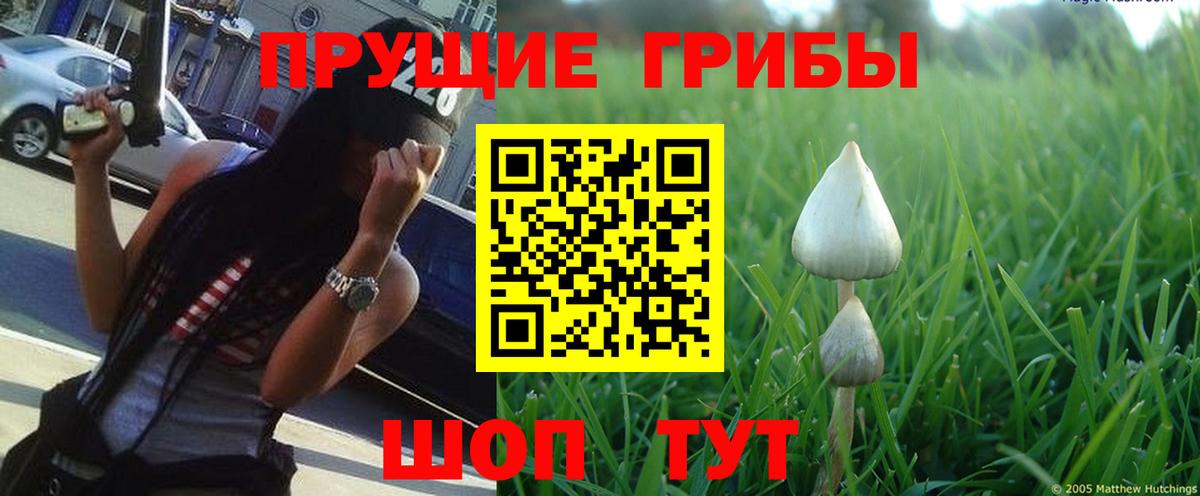Ивантеевка  Псилоцибиновые грибы мицелий  Вход с VPN 